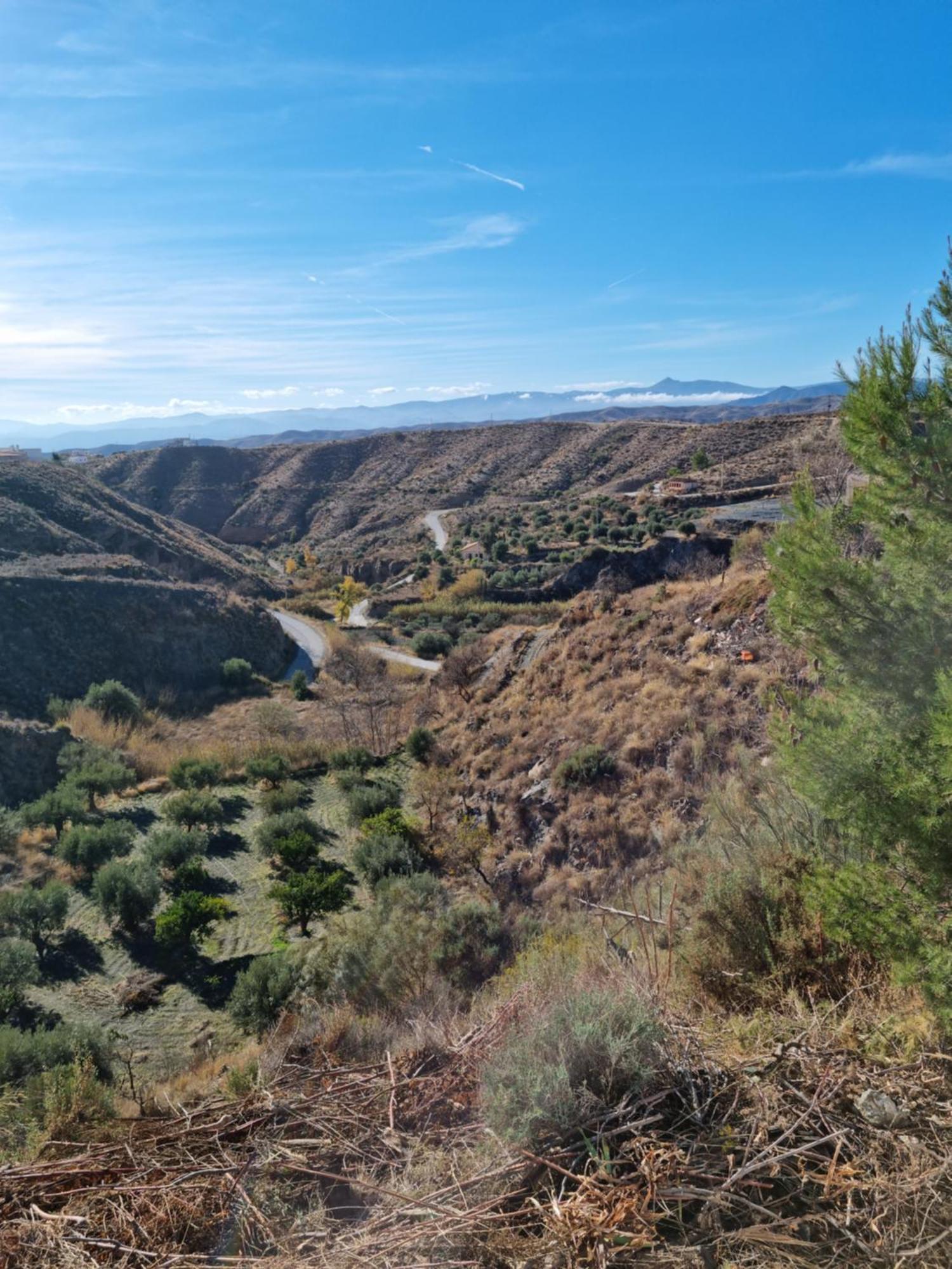 Cortijo Naturista Con Vistas-Clothing Optional Oria Εξωτερικό φωτογραφία