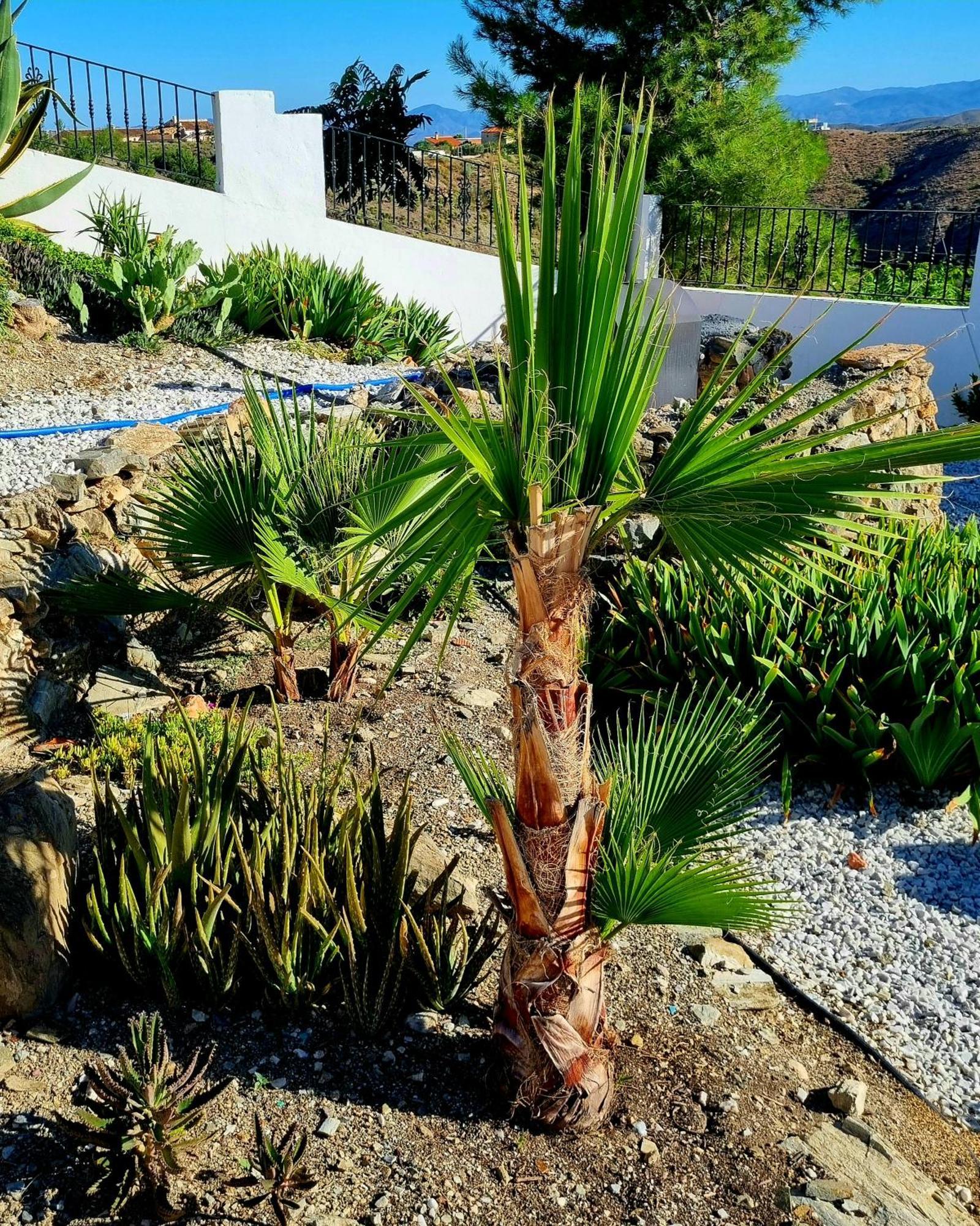 Cortijo Naturista Con Vistas-Clothing Optional Oria Εξωτερικό φωτογραφία